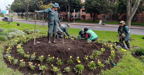 EL TRIBAL, LA JARDINERA QUE FLORECE GRACIAS AL CUIDADO DEL JARDÍN BOTÁNICO