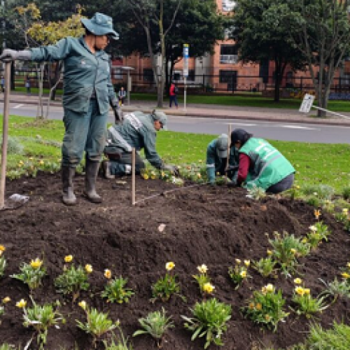 EL TRIBAL, LA JARDINERA QUE FLORECE GRACIAS AL CUIDADO DEL JARDÍN BOTÁNICO