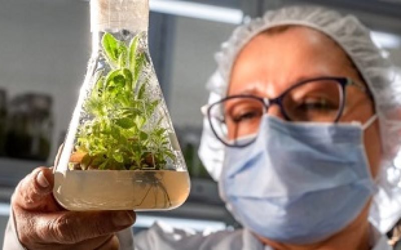 BOGOTÁ TIENE LABORATORIO DE CONSERVACIÓN DE ORQUÍDEAS Y FRAILEJONES