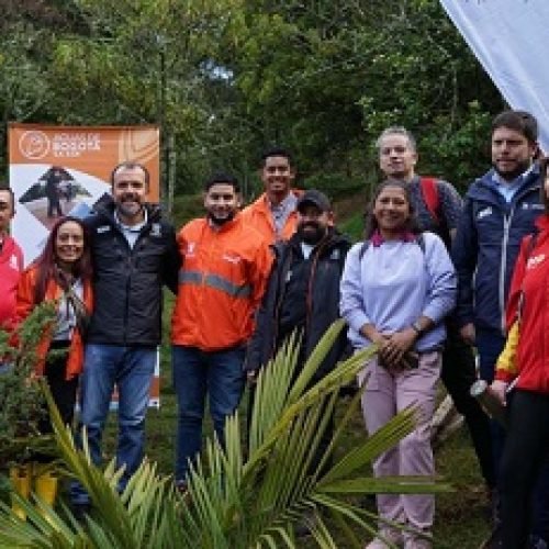 437 NUEVOS ÁRBOLES COMO PARTE DE LOS CUMPLEAÑOS DE BOGOTÁ