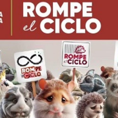 ‘ROMPE EL CICLO’ CAMPAÑA DE BOGOTÁ SOBRE TENENCIA DE MASCOTAS NO CONVENCIONALES